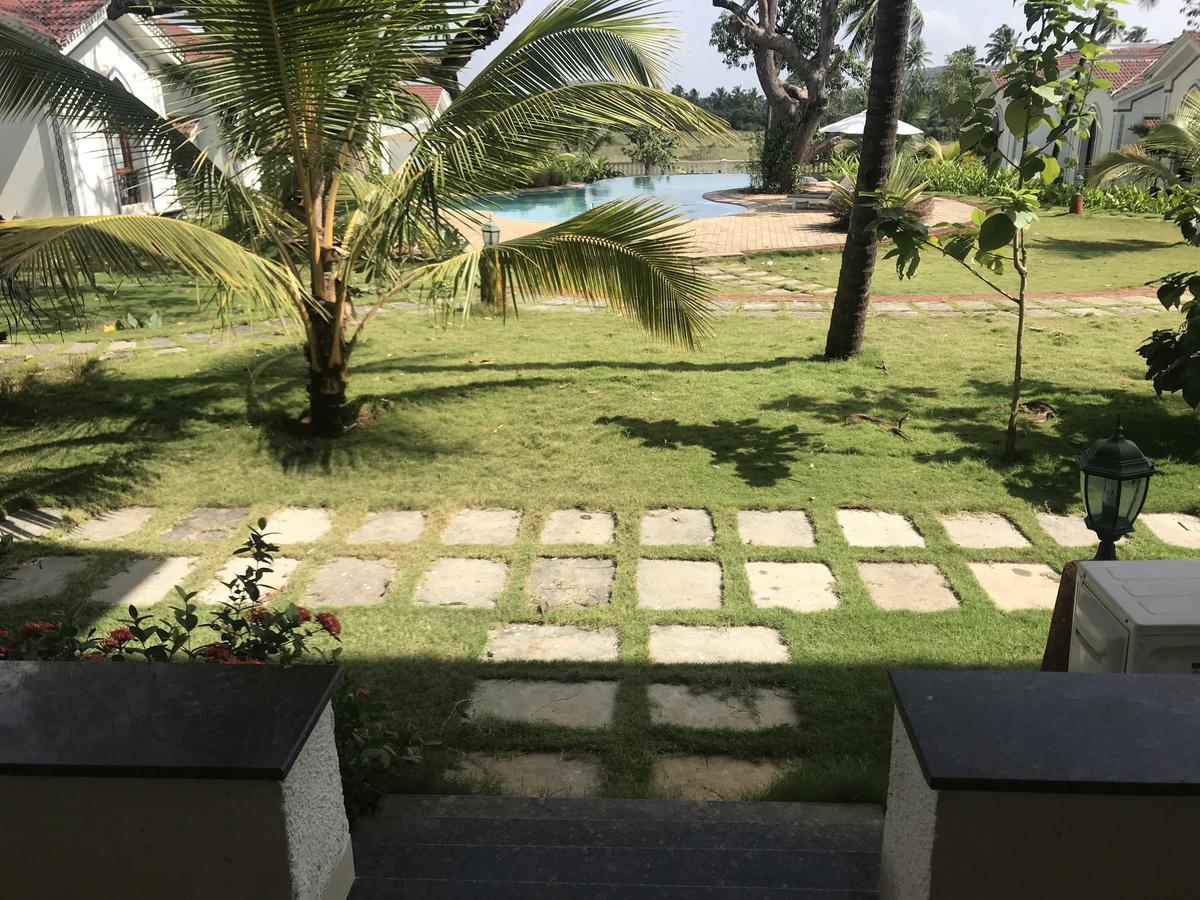 Studio And One Bedroom Apartment In Riviera Sapphire, Siolim Exteriör bild